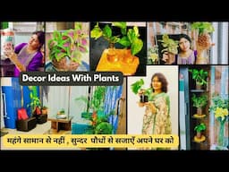 Best Low Maintenance Indoor Plants for Your Home | Home Decoration with Plants