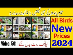 All Birds Latest Prices 2024 (Birds Market Prices in 2024) in Urdu By |Arham|., Video. 501