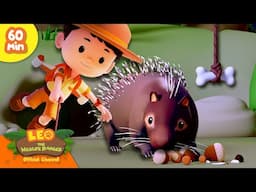 WILL THE PORCUPINE TAKE THE BAIT? 🦔 | Spikey Animals! | Leo the Wildlife Rangers | Kids Cartoon