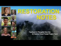 Restoration Notes - Feedback & Thoughts from the St Helena Cloud Forest Project