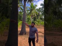 அருமையான தென்னந்தோப்பு விற்பனைக்கு 🌴🌴🌴🌴🌴