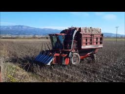 Case IH 2555 COTTON EXPRESS