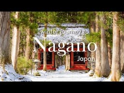 Winter Trip to Nagano 🇯🇵 | Snow Monkey Park, Shibu Onsen, Narai-juku | Japan Travel Vlog