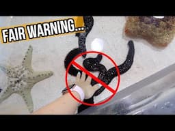 don't watch this video if you hate squeaky sounds...