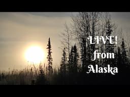 LIVE! rom Alaska