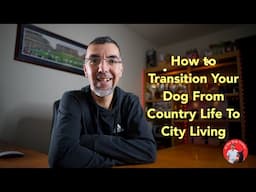 How to Transition Your Dog From Country Life To City Living