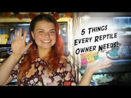 5 Things Every Reptile Owners Needs!