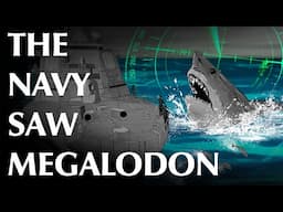 USN Petty Officer and Others Report Megalodon Sightings