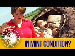 In Mint Condition? | Time Team Classic