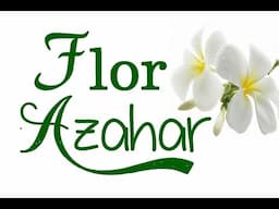 Beneficios Curativos y Medicinales de la Flor de Azahar