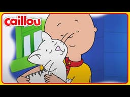 Caillou's Kitty Conundrum | Classic Caillou