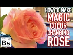 How to Make a Color Changing Rose - Science or Magic?!