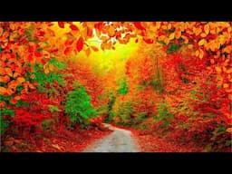 November Autumn, Peaceful Music, Relaxing soothing Music, Instrumental Music by Tim Janis