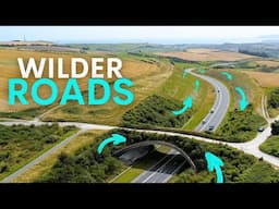 Britain's Roads are Getting Wilder - here's how