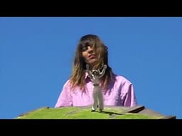 Crumb & Melody's Echo Chamber - Le Temple Volant [Official Video]