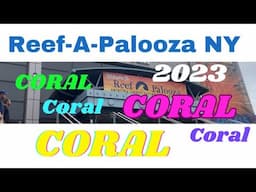 Reef-A-Palooza New York 2023 - Stunning Coral at RAP This Year!