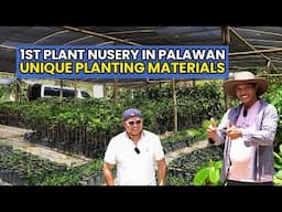 1st Plant Nursery in Palawan - Unique Planting Materials