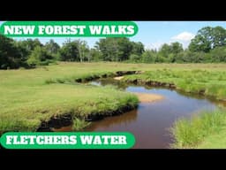 NEW FOREST WALK ALONG THE ENTIRE COURSE OF THE RIVER THAT ENDS AS FLETCHERS WATER (4K)