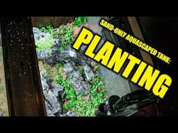 Sand-Only Aquascaped Tank EP02: Planting Tutorial