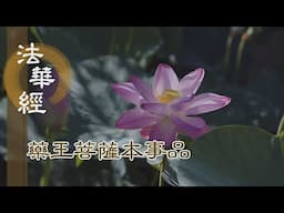 【靜思妙蓮華】 法華經 藥王菩薩本事品 - 精純無邪 入覺三昧 - 第1816集 20241127