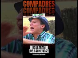 ROUBARAM OS CARNEIROS! - NILTON PINTO E TOM CARVALHO #comedia #piadacurta #humor #piadascurtas