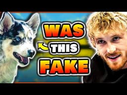 You're as Bad As Logan Paul, Here's Why