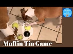 DIY Muffin Tin and Chicken Cube  Fun Enrichment Games for Your Dog