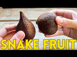 Trying Indonesian Snake Fruit (Salak) in Bali