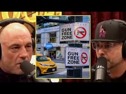 JRE: Does BANNING Guns Work?