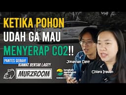 Pohon Udah Ga Mau Menyerap CO2 Bikin Bumi Makin Panas. Ft. Chiara & Jonathan