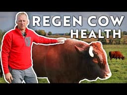 4 Ways to Raise Healthy Cattle on a Regenerative Farm