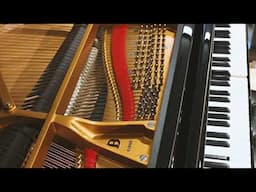 Steinway & Sons Spirio B | "Christmas Time is Here"