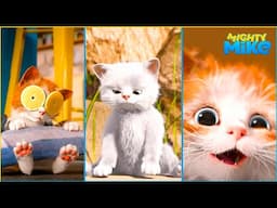 Mighty Mike 🐶 Cat Compilation 🐾🐈 Cartoon for Kids