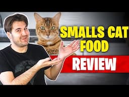 The Best Cat Food Brand: Smalls Cat Food Review 2024