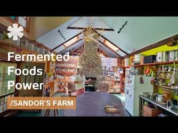 Built off-grid homestead. Then became Fermented Foods' go-to expert