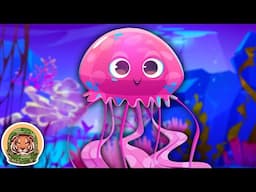 Meet The Jellyfish! | Animal Songs For Kids | KLT WILD