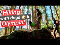 Olympia Rad HIKE Adventure with the Doggos! | Mount Rose