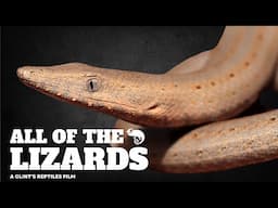 The Most Complete Guide To Lizards and Their Relatives Ever Made!