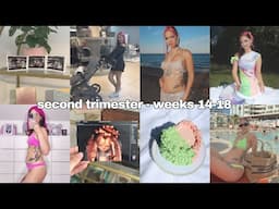 Second Trimester Vlog | Weeks 14-18 | Pregnancy Diary, Babymoon, Gender Scan and Announcement