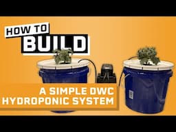 How to Build a Hydroponic System Under $30 - Deep Water Culture Hydroponics