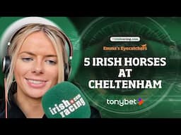 5 Irish horses at EW prices in Cheltenham | Emma's Eyecatchers