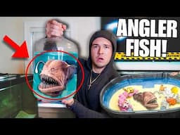 BUYING Creepy ANGLER FISH OFF THE WEB For My SALTWATER POND!!