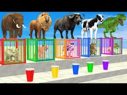 Cow Elephant Lion Gorilla T Rex Don't Choose The Wrong Drink CHALLENGE Animals Cage Game 3D