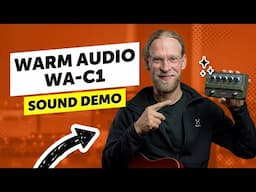 Warm Audio WA-C1 | Sound Demo | Can this pedal deliver the classic CE-1 chorus and vibrato sound?