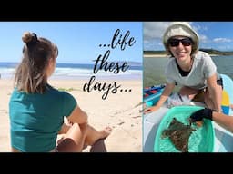 Life of a marine biologist | plans for 2024