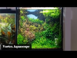 Vortex Cave Aquascape