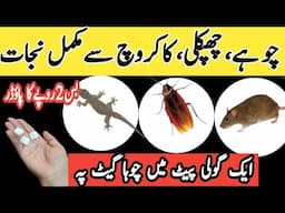 Get rid of rats, Mosquito,Cockroach, lizard with Homemade Spraylpowerful insects killer