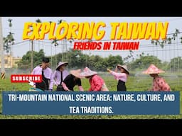 Exploring Taiwan's Tri-Mountain National Scenic Area: Nature 🌿, Culture 🏯, and Tea Traditions 🍵🇹🇼