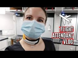 5 DAY TRIP TO CHARLOTTE // International Flight Attendant Vlog 40 2021