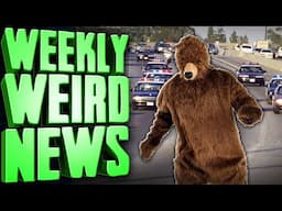 Framing Bears For Crimes - Weekly Weird News